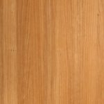 PERSIAN CHERRY