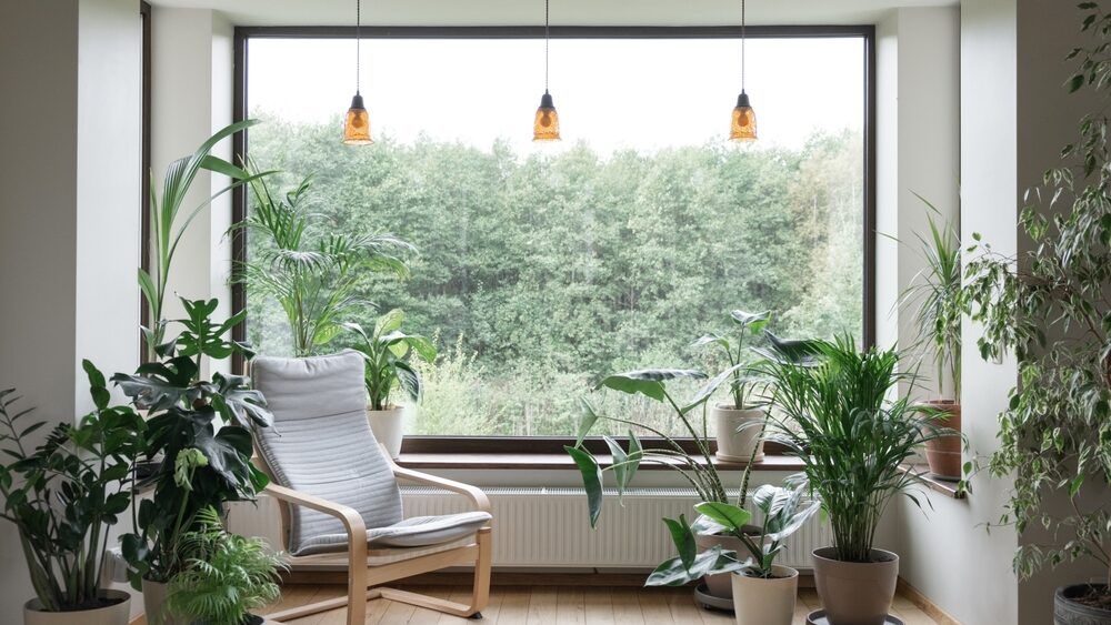 Sustainable Design in Action Projects Featuring ReCover PET Film